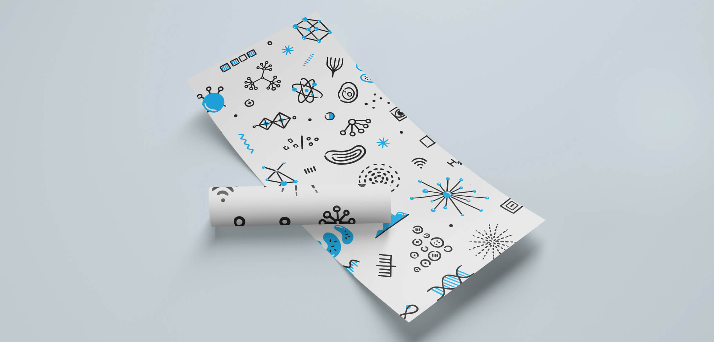kaggle screen